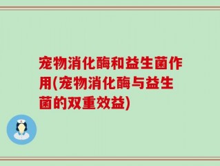 宠物消化酶和益生菌作用(宠物消化酶与益生菌的双重效益)