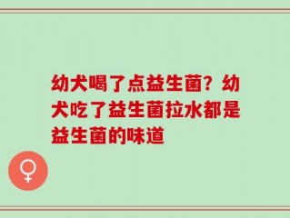 幼犬喝了点益生菌？幼犬吃了益生菌拉水都是益生菌的味道