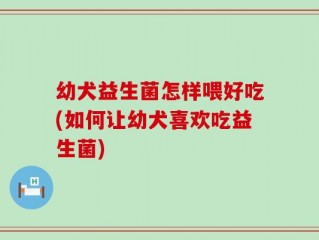 幼犬益生菌怎样喂好吃(如何让幼犬喜欢吃益生菌)