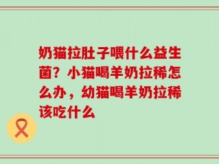 奶猫拉肚子喂什么益生菌？小猫喝羊奶拉稀怎么办，幼猫喝羊奶拉稀该吃什么