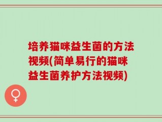 培养猫咪益生菌的方法视频(简单易行的猫咪益生菌养护方法视频)