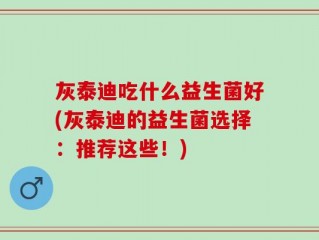 灰泰迪吃什么益生菌好(灰泰迪的益生菌选择：推荐这些！)