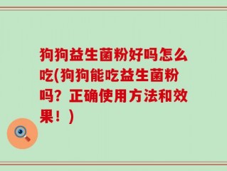 狗狗益生菌粉好吗怎么吃(狗狗能吃益生菌粉吗？正确使用方法和效果！)