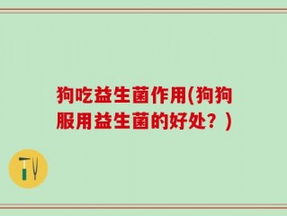 狗吃益生菌作用(狗狗服用益生菌的好处？)