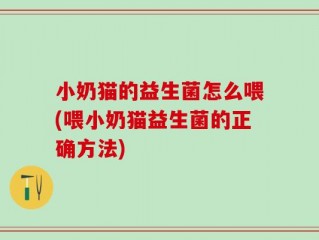 小奶猫的益生菌怎么喂(喂小奶猫益生菌的正确方法)