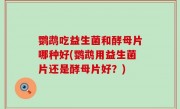 鹦鹉吃益生菌和酵母片哪种好(鹦鹉用益生菌片还是酵母片好？)