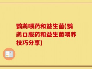 鹦鹉喂药和益生菌(鹦鹉口服药和益生菌喂养技巧分享)