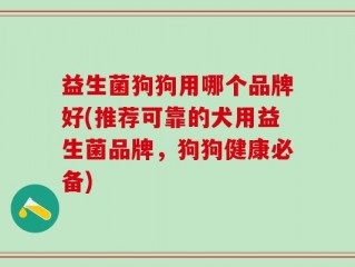益生菌狗狗用哪个品牌好(推荐可靠的犬用益生菌品牌，狗狗健康必备)