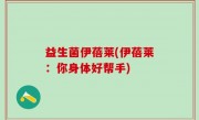益生菌伊蓓莱(伊蓓莱：你身体好帮手)