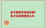 兔子肠道专用益生菌？兔子拉盲肠便怎么办