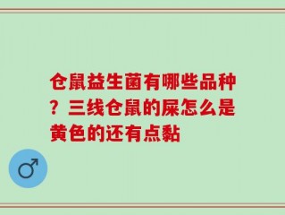 仓鼠益生菌有哪些品种？三线仓鼠的屎怎么是黄色的还有点黏
