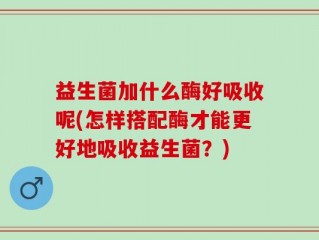 益生菌加什么酶好吸收呢(怎样搭配酶才能更好地吸收益生菌？)