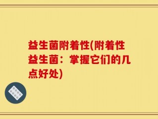 益生菌附着性(附着性益生菌：掌握它们的几点好处)