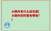 小肠内有什么益生菌(小肠内的好菌有哪些？)