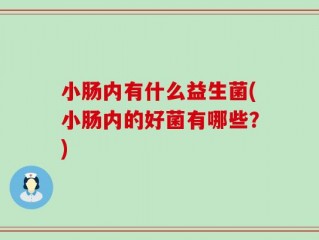 小肠内有什么益生菌(小肠内的好菌有哪些？)