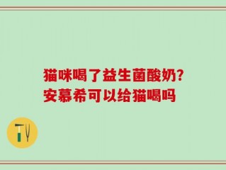 猫咪喝了益生菌酸奶？安慕希可以给猫喝吗