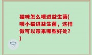 猫咪怎么喂进益生菌(喂小猫进益生菌，这样做可以带来哪些好处？)