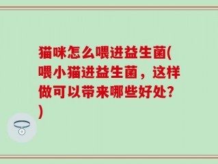 猫咪怎么喂进益生菌(喂小猫进益生菌，这样做可以带来哪些好处？)