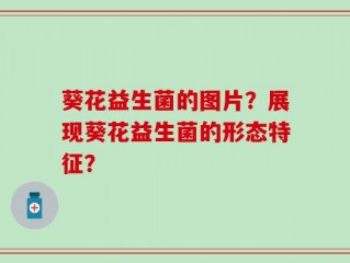 葵花益生菌的图片？展现葵花益生菌的形态特征？