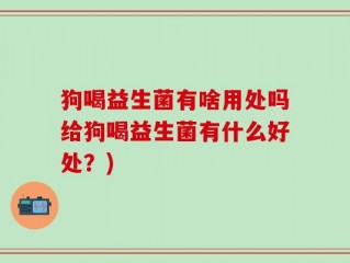 狗喝益生菌有啥用处吗给狗喝益生菌有什么好处？)