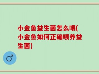 小金鱼益生菌怎么喂(小金鱼如何正确喂养益生菌)