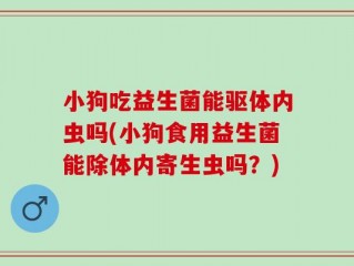 小狗吃益生菌能驱体内虫吗(小狗食用益生菌能除体内寄生虫吗？)