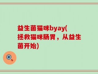 益生菌猫咪byay(拯救猫咪肠胃，从益生菌开始)