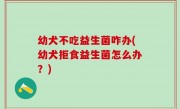 幼犬不吃益生菌咋办(幼犬拒食益生菌怎么办？)