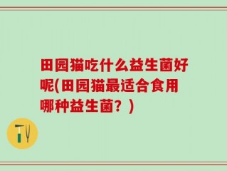 田园猫吃什么益生菌好呢(田园猫最适合食用哪种益生菌？)