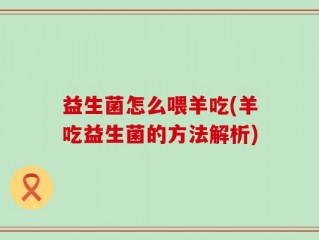 益生菌怎么喂羊吃(羊吃益生菌的方法解析)