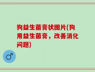 狗益生菌膏状图片(狗用益生菌膏，改善消化问题)