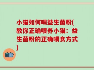 小猫如何喝益生菌粉(教你正确喂养小猫：益生菌粉的正确喂食方式)