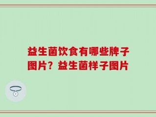 益生菌饮食有哪些牌子图片？益生菌样子图片