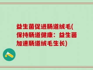 益生菌促进肠道绒毛(保持肠道健康：益生菌加速肠道绒毛生长)