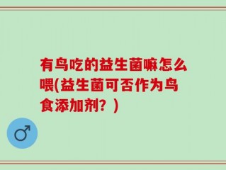 有鸟吃的益生菌嘛怎么喂(益生菌可否作为鸟食添加剂？)