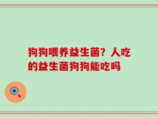 狗狗喂养益生菌？人吃的益生菌狗狗能吃吗
