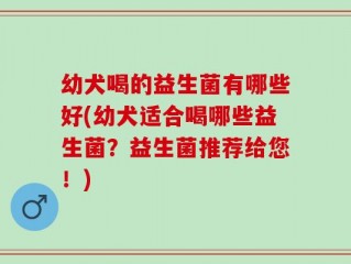 幼犬喝的益生菌有哪些好(幼犬适合喝哪些益生菌？益生菌推荐给您！)