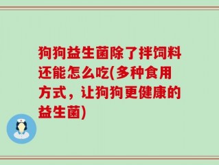 狗狗益生菌除了拌饲料还能怎么吃(多种食用方式，让狗狗更健康的益生菌)
