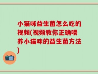 小猫咪益生菌怎么吃的视频(视频教你正确喂养小猫咪的益生菌方法)