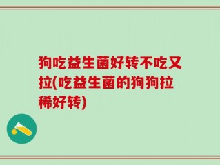 狗吃益生菌好转不吃又拉(吃益生菌的狗狗拉稀好转)
