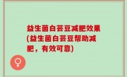 益生菌白芸豆减肥效果(益生菌白芸豆帮助减肥，有效可靠)