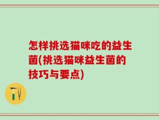 怎样挑选猫咪吃的益生菌(挑选猫咪益生菌的技巧与要点)