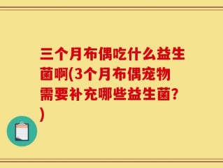 三个月布偶吃什么益生菌啊(3个月布偶宠物需要补充哪些益生菌？)