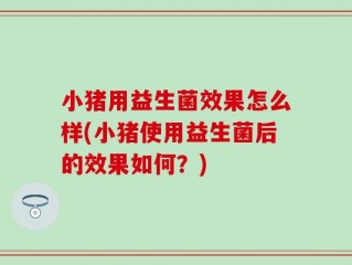 小猪用益生菌效果怎么样(小猪使用益生菌后的效果如何？)