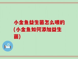 小金鱼益生菌怎么喂的(小金鱼如何添加益生菌)