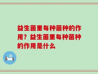 益生菌里每种菌种的作用？益生菌里每种菌种的作用是什么