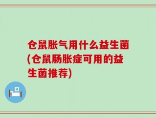 仓鼠胀气用什么益生菌(仓鼠肠胀症可用的益生菌推荐)