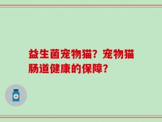 益生菌宠物猫？宠物猫肠道健康的保障？