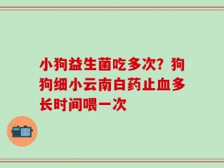 小狗益生菌吃多次？狗狗细小云南白药止血多长时间喂一次