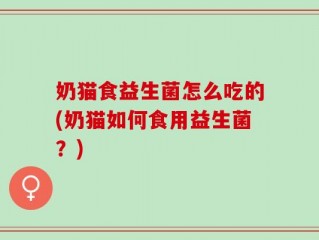 奶猫食益生菌怎么吃的(奶猫如何食用益生菌？)